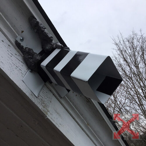 One Way Door for Wildlife